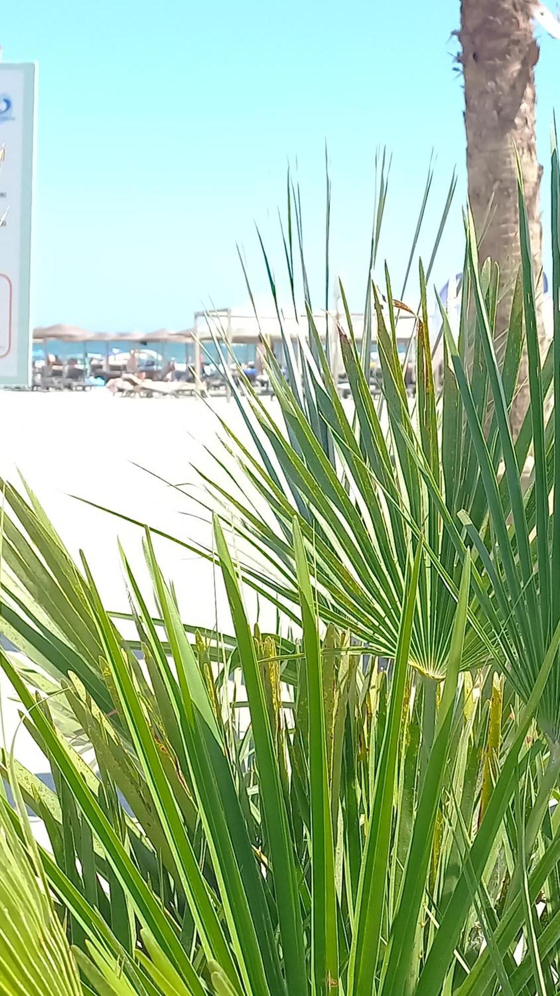 Luxury Promenada Apartment - Frontal Beachfront Mamaia Nord Năvodari Extérieur photo